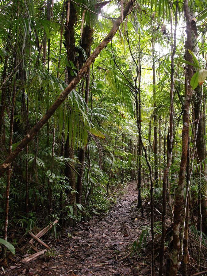 Point Stuart Wilderness Lodge Bagian luar foto