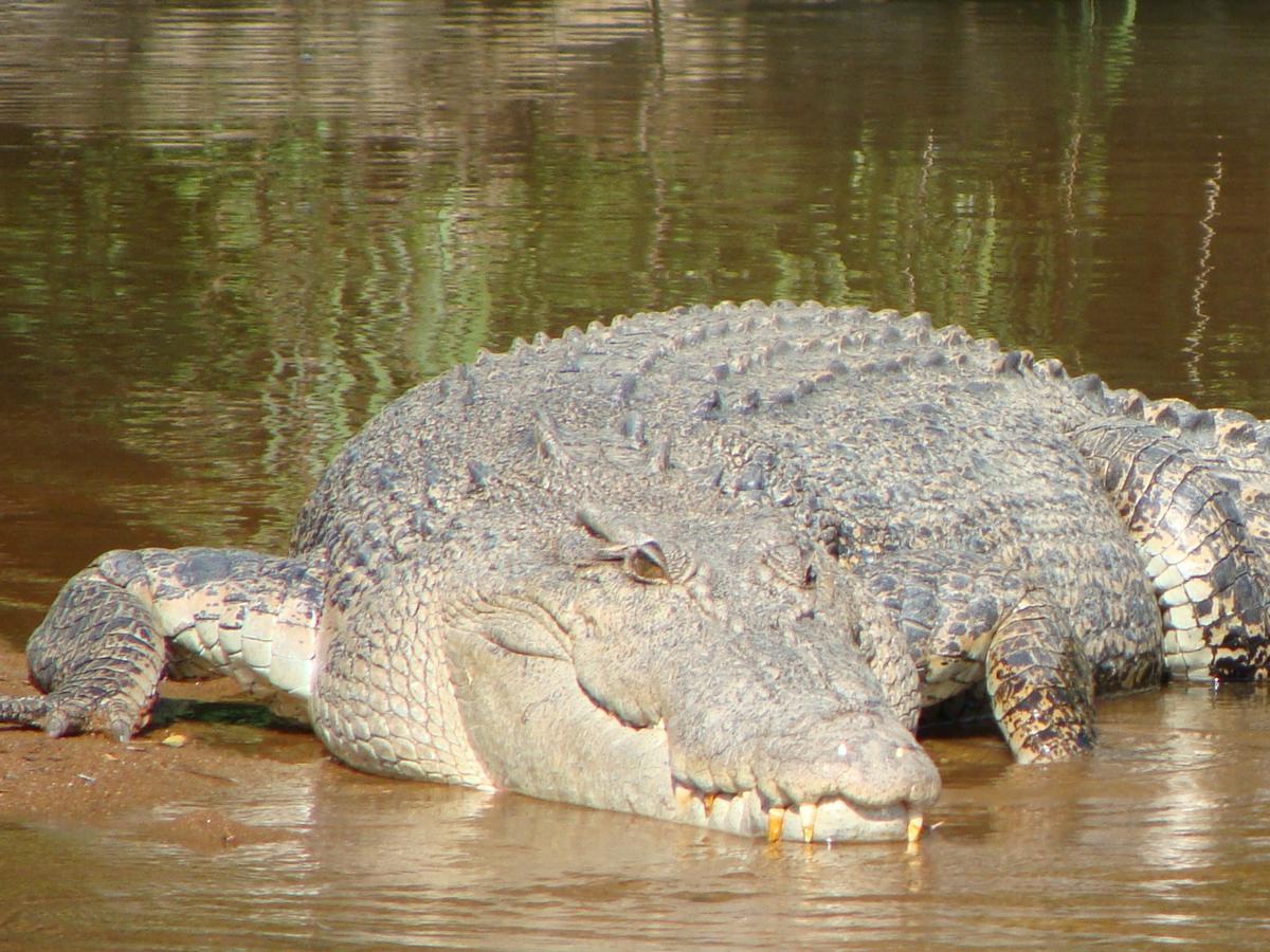 Point Stuart Wilderness Lodge Bagian luar foto